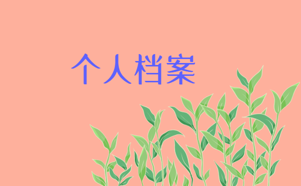 个人档案