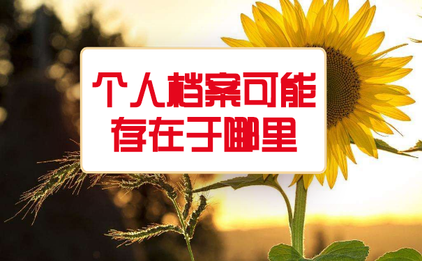 荆州市个人档案查询