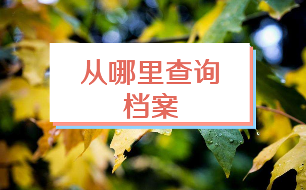 洛阳毕业生个人档案查询