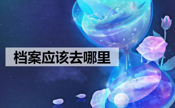 档案应该去哪里
