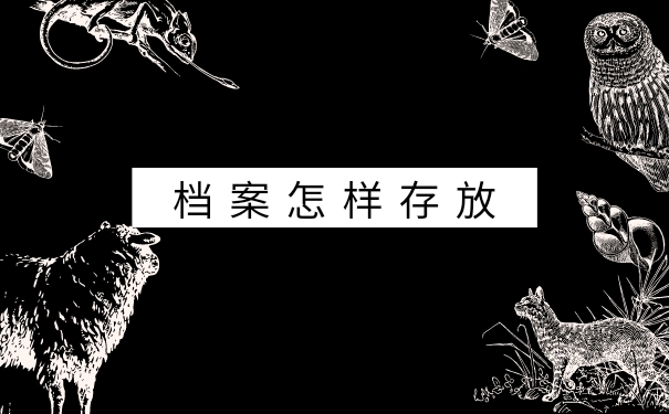 档案怎样存放
