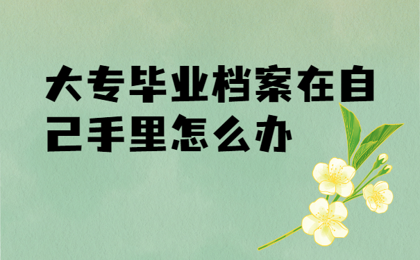 档案