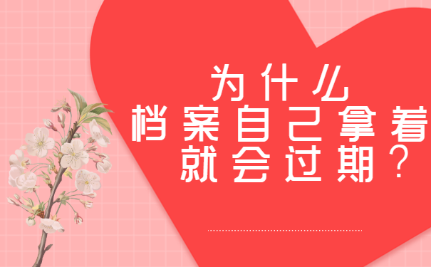 档案百科
