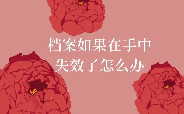 档案如果在手中失效了怎么办