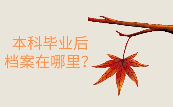 本科毕业后档案在哪里？