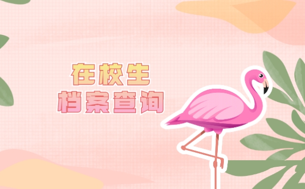 在校生档案查询