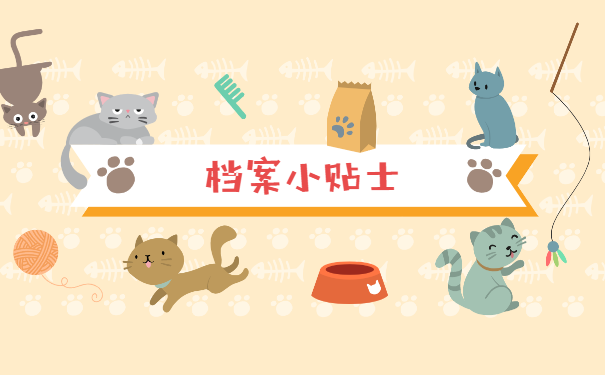 档案小贴士