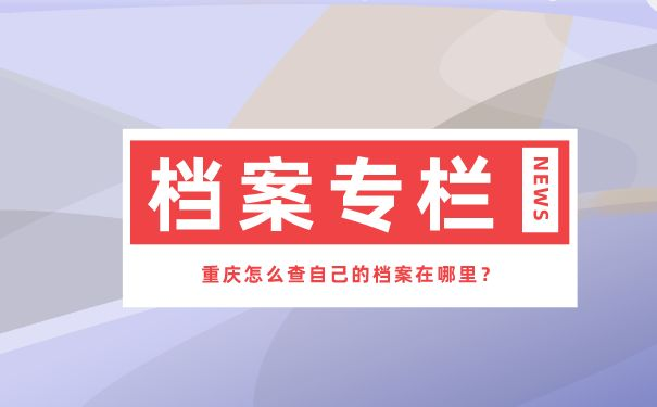 档案查询