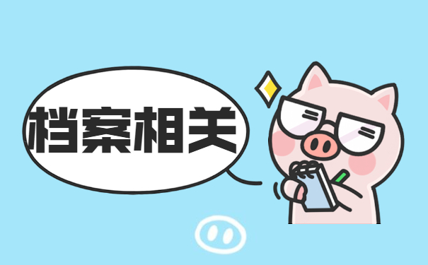 档案相关