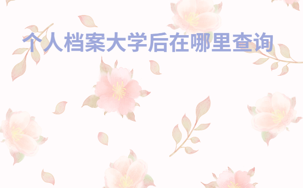 档案如何查询比较好