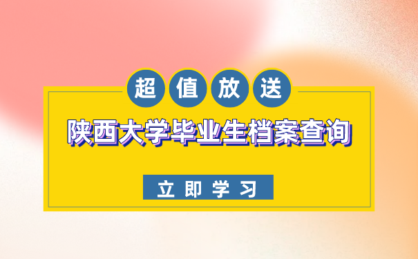 档案查询