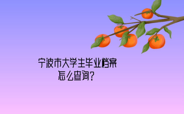 宁波市大学生毕业档案怎么查询？