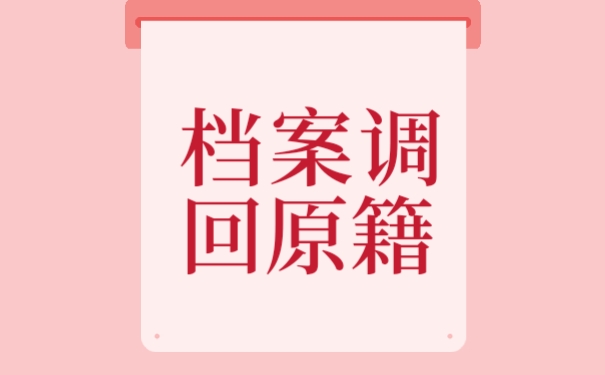 档案百科