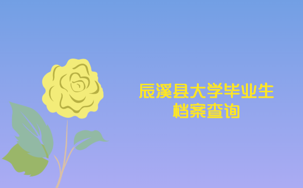 辰溪县大学毕业生档案查询