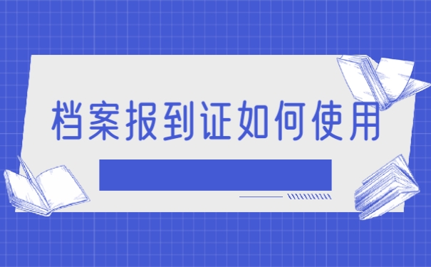 档案百科