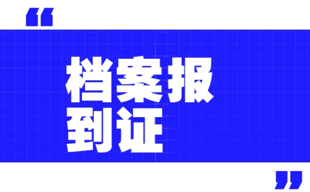 档案百科