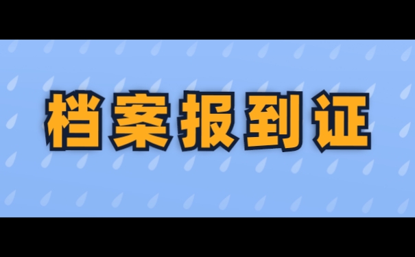档案百科