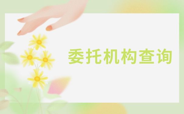 委托机构查询