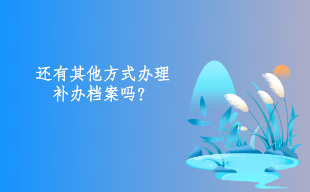 还有其他方式办理补办档案吗？