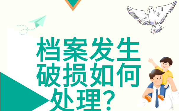 档案查询