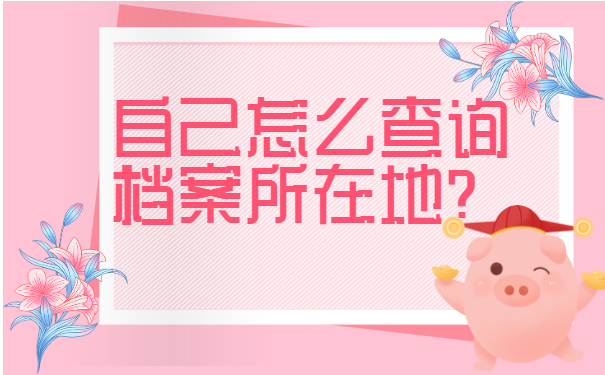 档案查询