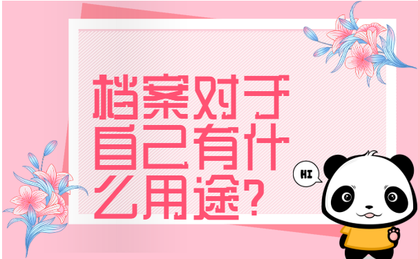 档案查询