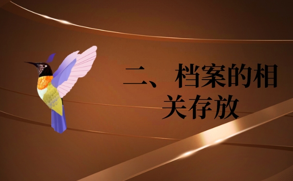 二、档案的相关存放