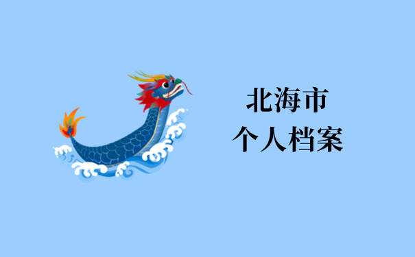 北海市个人档案