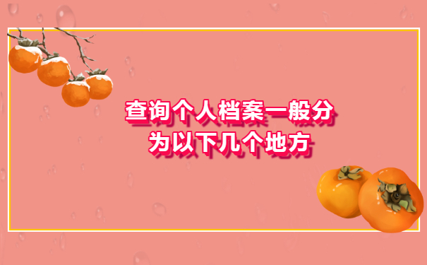 查询个人档案一般分为以下几个地方