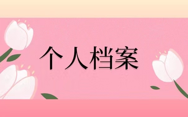 个人档案