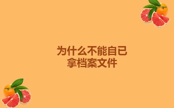 为什么不能自已拿档案文件