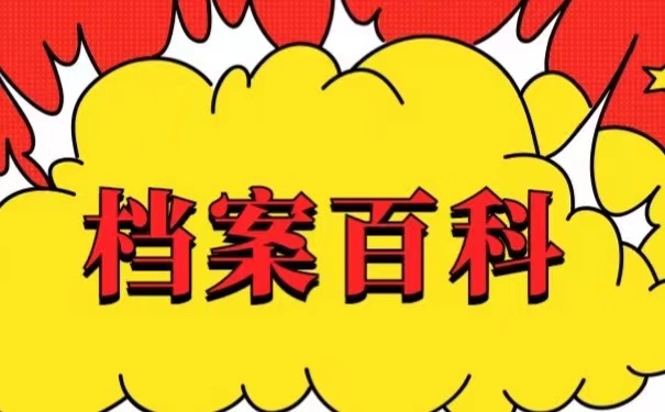 档案百科