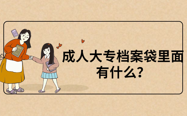 档案内容