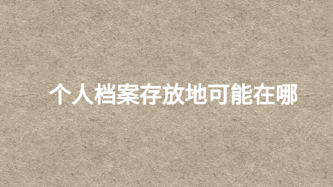 个人档案存放地可能在哪
