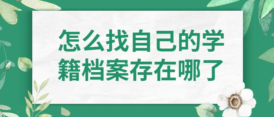 怎么找自己的学籍档案存在哪了